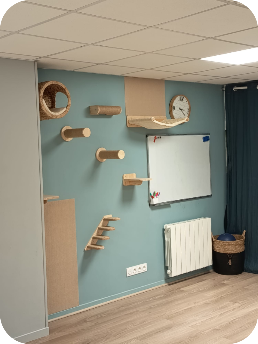 Salle d'attente et espace de jeu du cabinet de psychomotricité